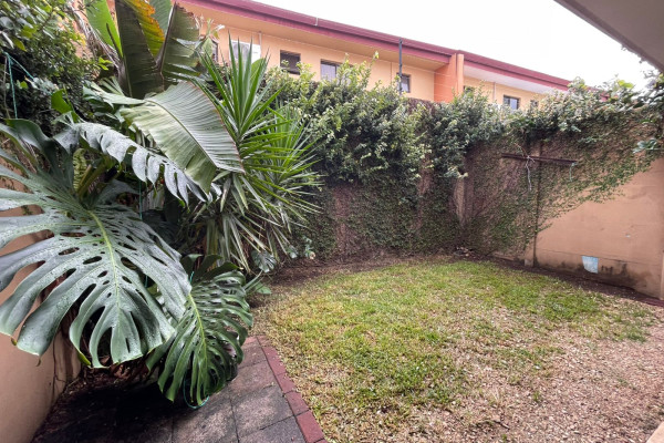 Alquiler de casa en Santa Ana.