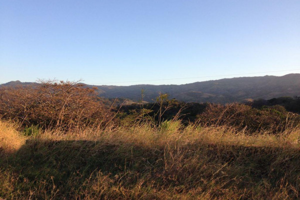 Lotes exclusivos en San Miguel de Turrúcares – Naturaleza, privacidad y alto potencial.-16