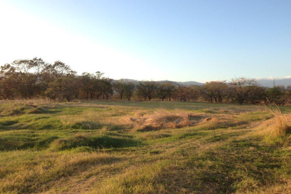 Lotes exclusivos en San Miguel de Turrúcares – Naturaleza, privacidad y alto potencial.-15