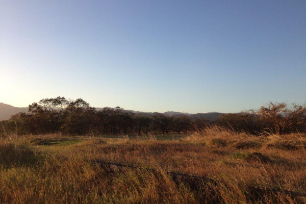 Lotes exclusivos en San Miguel de Turrúcares – Naturaleza, privacidad y alto potencial.-5