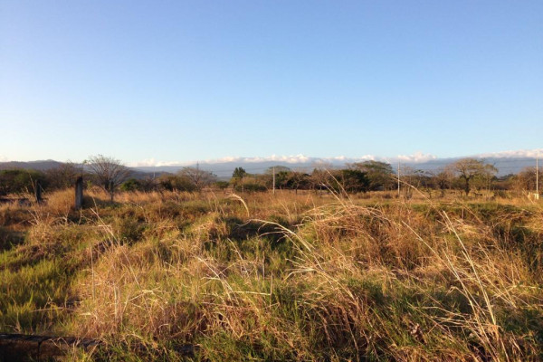 Lotes exclusivos en San Miguel de Turrúcares – Naturaleza, privacidad y alto potencial.-7