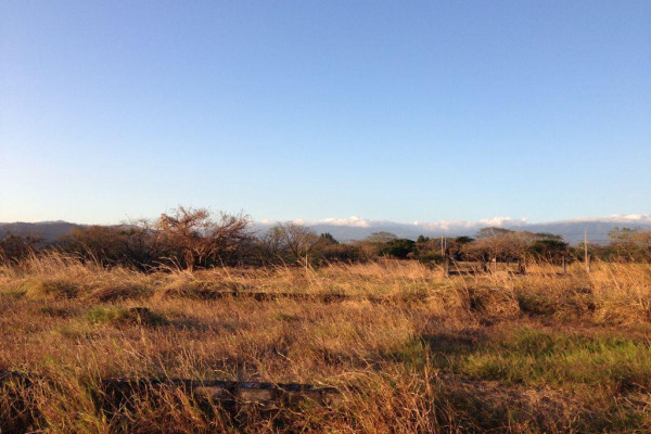 Lotes exclusivos en San Miguel de Turrúcares – Naturaleza, privacidad y alto potencial.-2