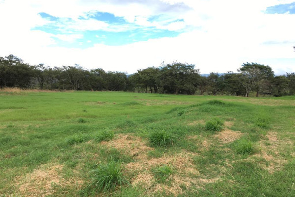 Lotes exclusivos en San Miguel de Turrúcares – Naturaleza, privacidad y alto potencial.-25