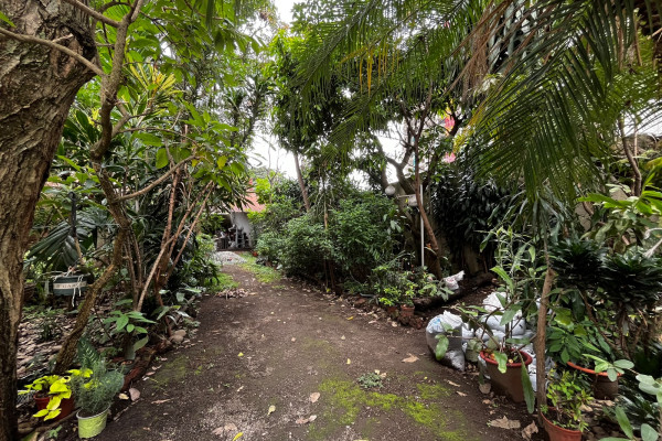 Se alquila casa en Sabana Norte.
