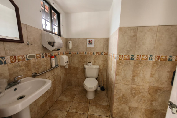 Se alquila casa independiente en Sabana Sur. Ideal para oficinas.-7