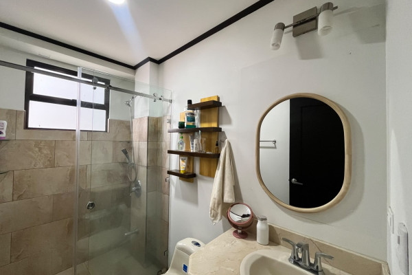 Se alquila apartamento en Rohrmoser.-7