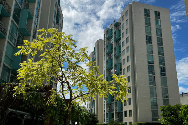 Se alquila apartamento en Bambú San Sebastián con muebles.-1