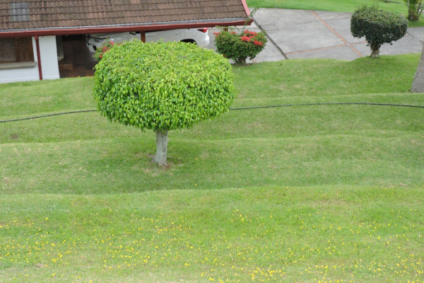 Se alquila casa una planta en Escazu. Linda vista En Condominio (Ref. 4615)