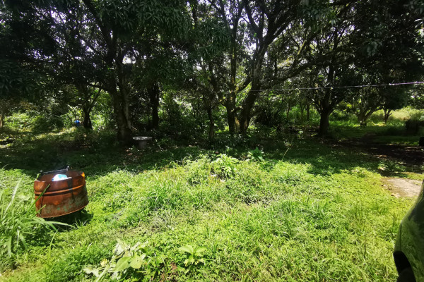 Se Vende Lote Uso Comercial Industrial. $250 X M2. Se Vende 2000m2 Como Mínimo. Brazil De Mora (Ref. 4762)